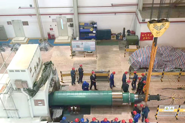 Bridge Crane for Power Station