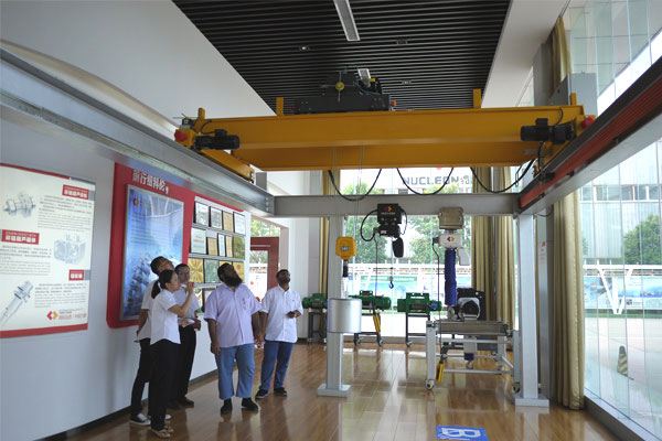 Anti-Swing Bridge Crane