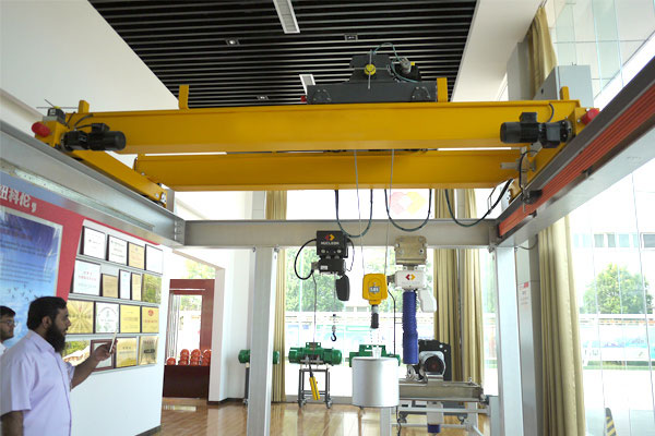 Anti-Swing Bridge Crane