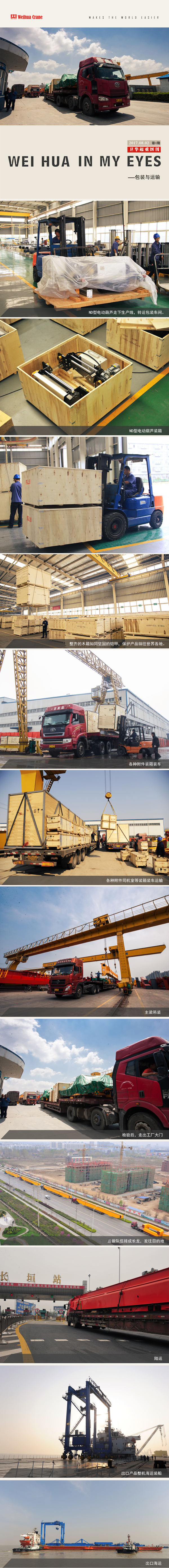hoist-bridge-crane-Packing